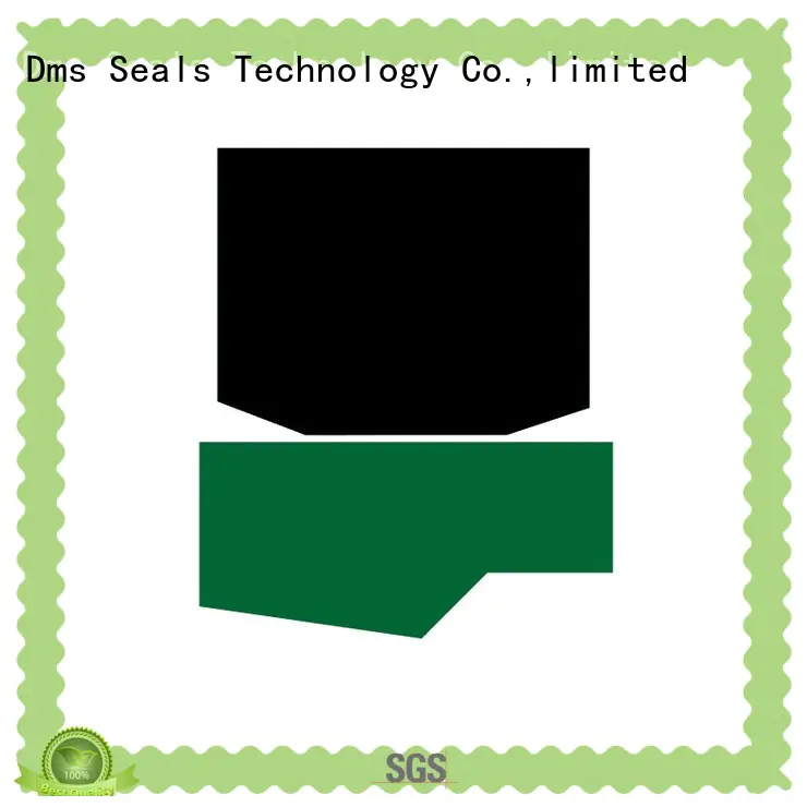 DMS Seal Manufacturer wholesale hydraulic seals for business for pressure work and sliding high speed occasions