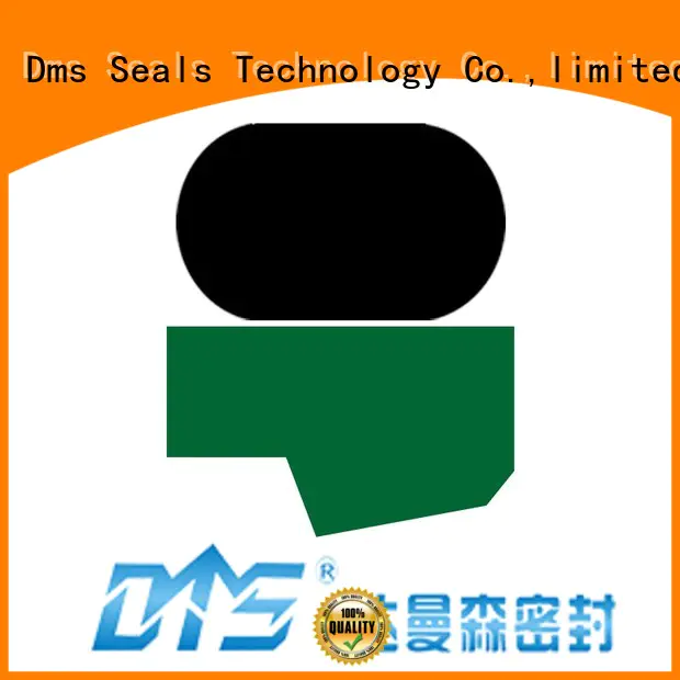 nbrfkm hydraulic seal hydraulic rod seals DMS Seal Manufacturer Brand