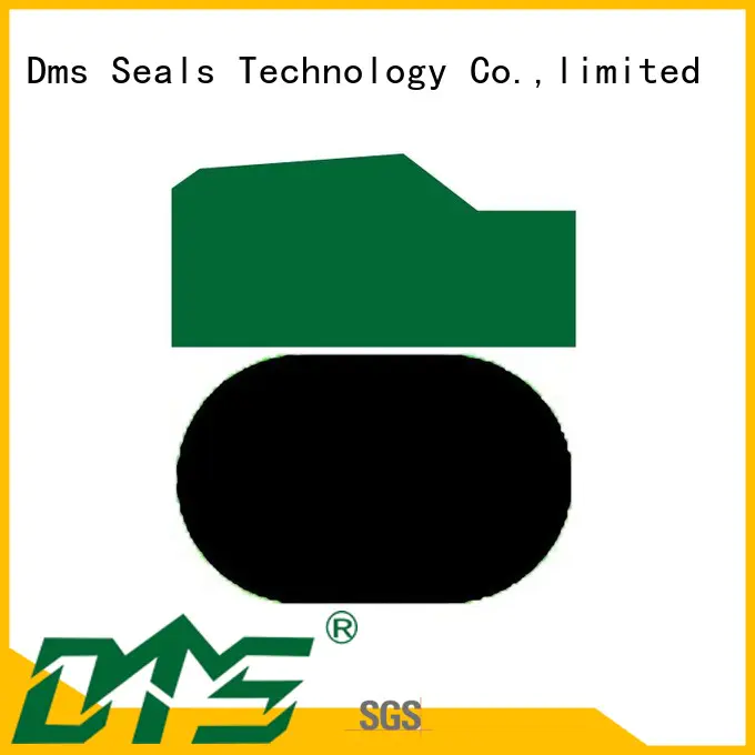 ptfe piston piston seals nbrfkm DMS Seal Manufacturer Brand