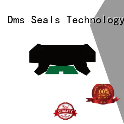DMS Seal Manufacturer Brand rod seal ptfe hydraulic rod seals