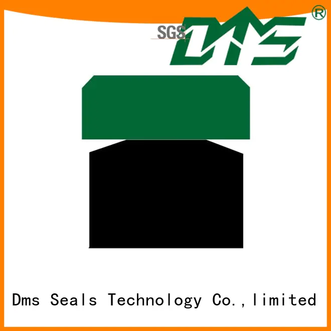 DMS Seal Manufacturer hydraulic piston seals suppliers for business for sale