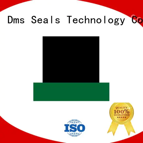 DMS Seal Manufacturer seal rod seals ptfe hydraulic
