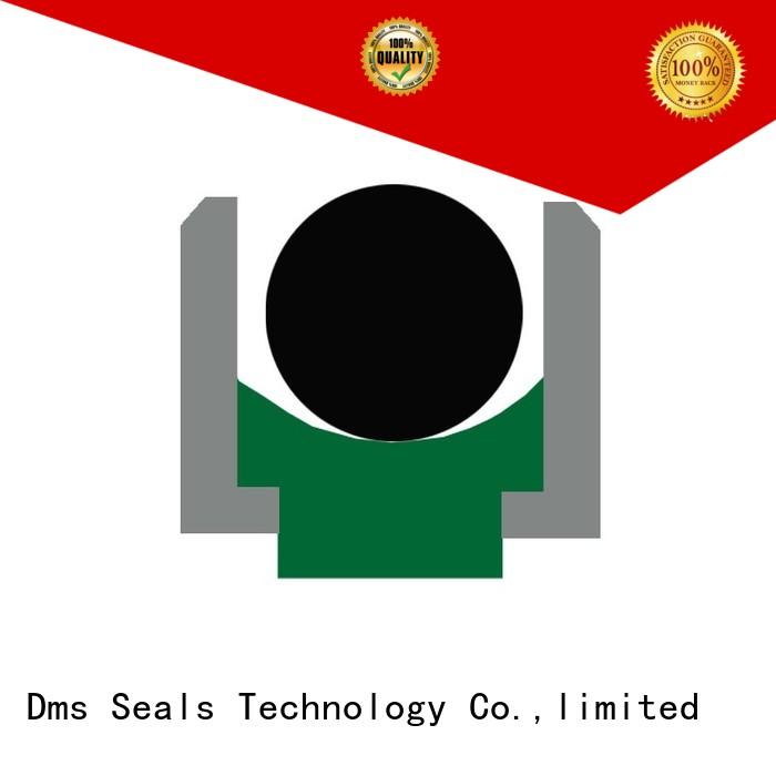 DMS Seal Manufacturer Brand ptfe oring seal rod seals