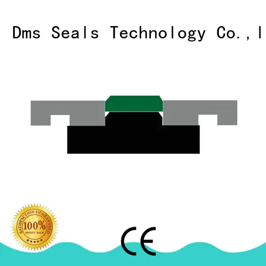 DMS Seal Manufacturer rod seal tool glyd ring for light and medium hydraulic systems