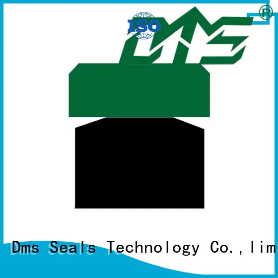 DMS Seal Manufacturer merkel piston seal for business for sale