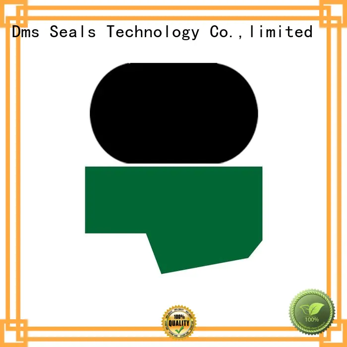 Quality DMS Seal Manufacturer Brand hydraulic rod seals