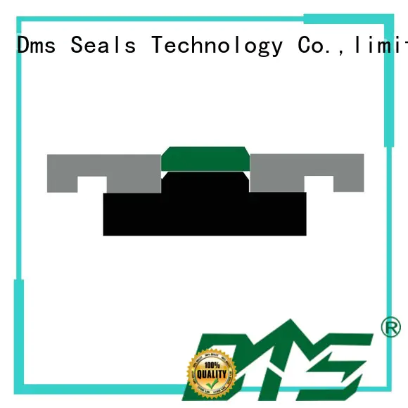 DMS Seal Manufacturer hydraulic piston seals sizes manufacturer for sale