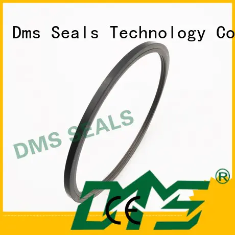 seal ptfe hydraulic rod seals DMS Seal Manufacturer Brand