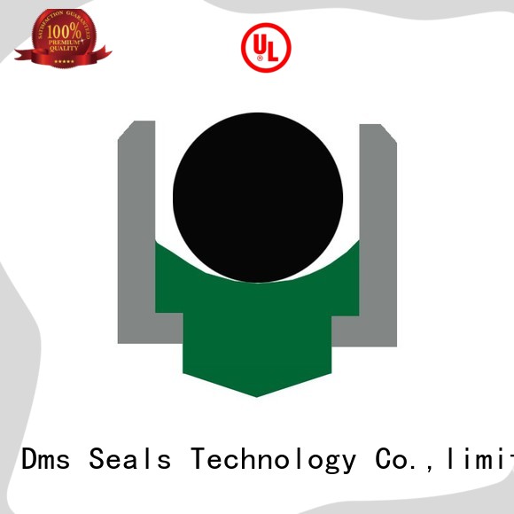 ptfe rotary seals manufacturer online for automotive equipment