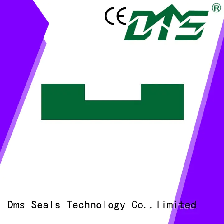 Custom oring ptfe bearing element DMS Seal Manufacturer element