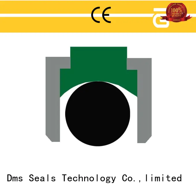 DMS Seal Manufacturer rubber piston seals Suppliers for sale