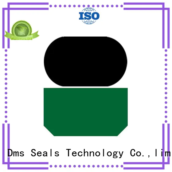oring rod ptfe hydraulic rod seals DMS Seal Manufacturer