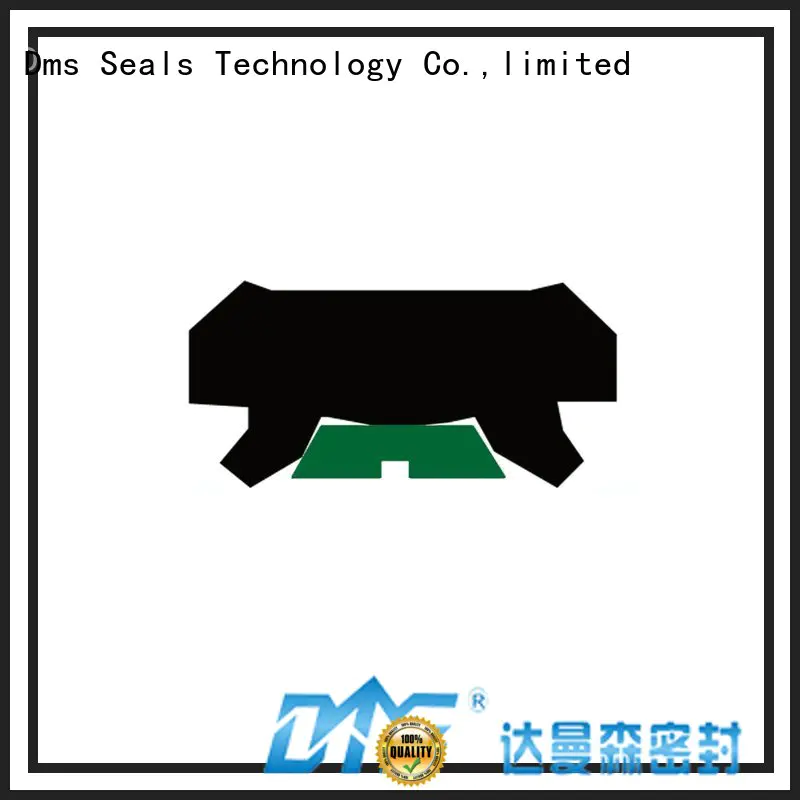 Custom ptfe rod seals oring DMS Seal Manufacturer