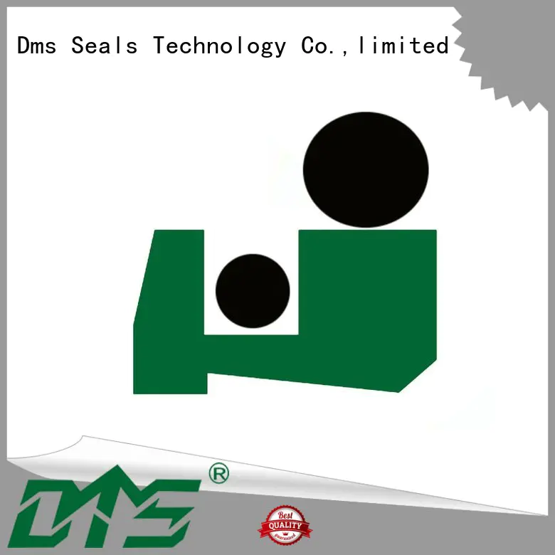 DMS Seal Manufacturer Latest wiper seal manufacturer for business for forklifts