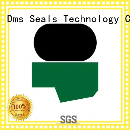 DMS Seal Manufacturer Brand nbrfkm hydraulic oring rod seals manufacture