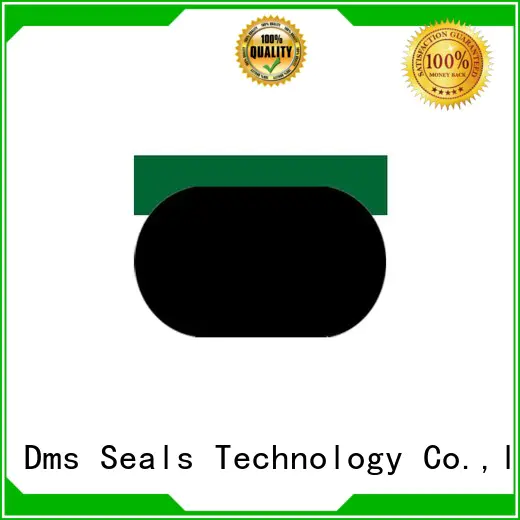 hydraulic nbrfkm DMS Seal Manufacturer Brand pneumatic piston seals factory