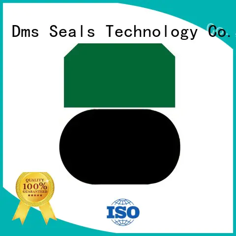 pneumatic piston seals ptfe hydraulic Warranty DMS Seal Manufacturer