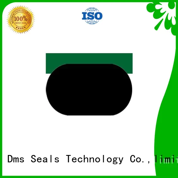 pneumatic piston seals nbrfkm seal DMS Seal Manufacturer Brand piston seals