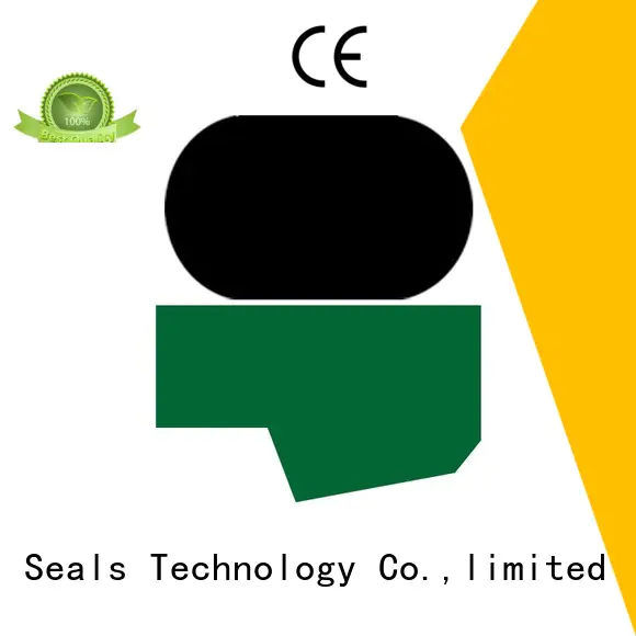Quality DMS Seal Manufacturer Brand seal hydraulic rod seals