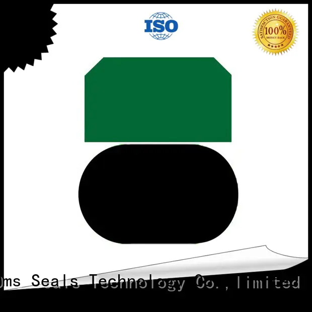 DMS Seal Manufacturer Brand oring piston seal pneumatic piston seals