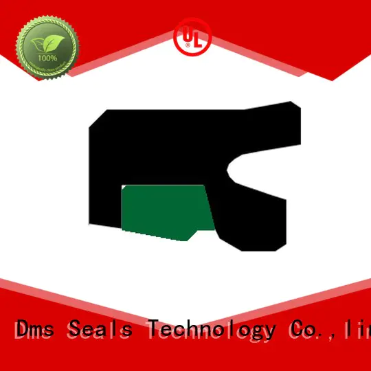 nbrfkm rod seals oring seal DMS Seal Manufacturer company