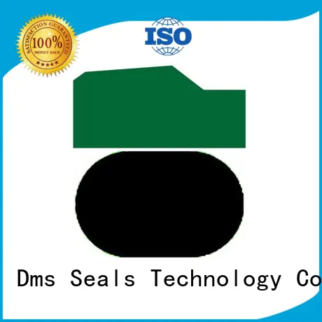 ptfe
 hydraulic
 DMS Seal Manufacturer Brand ptfe hydraulic pneumatic piston seals