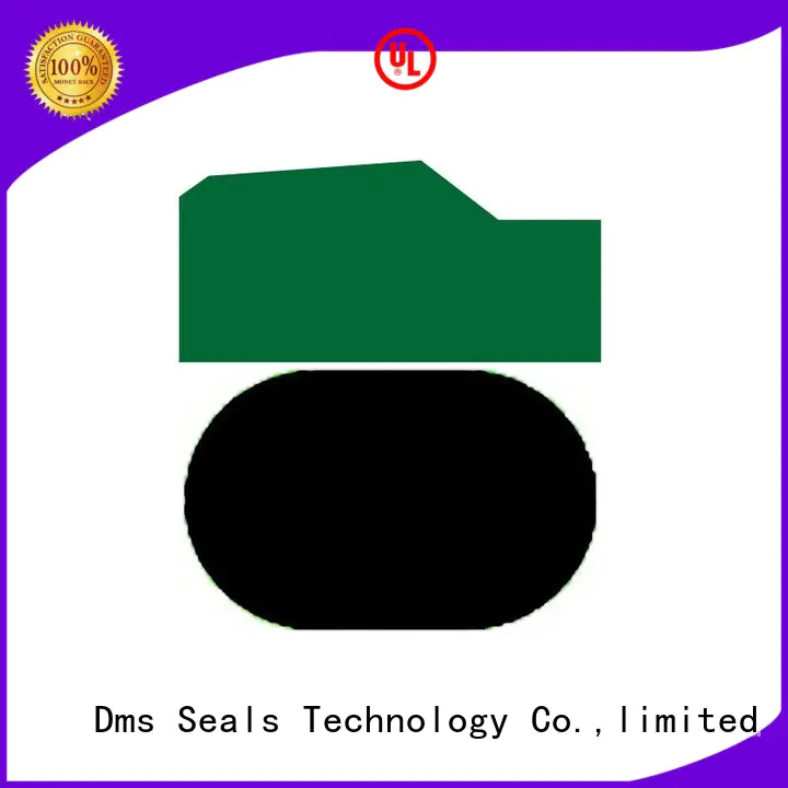 ptfe hydraulic piston seal hydraulic OEM piston seals DMS Seal Manufacturer seal