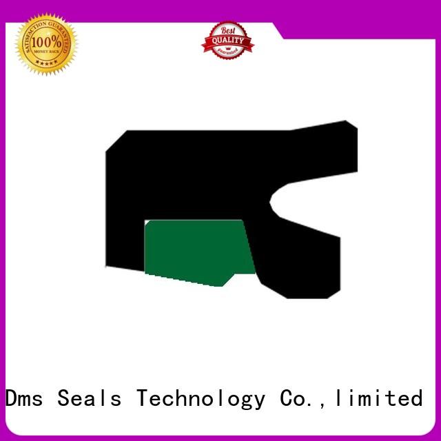 hydraulic rod seals ptfe Bulk Buy rod DMS Seal Manufacturer