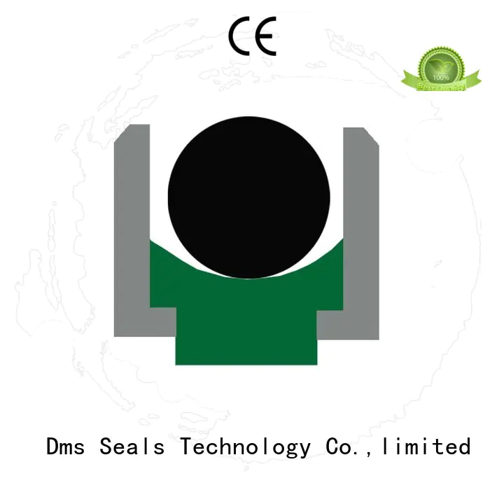 oring ptfe rod seals seal DMS Seal Manufacturer