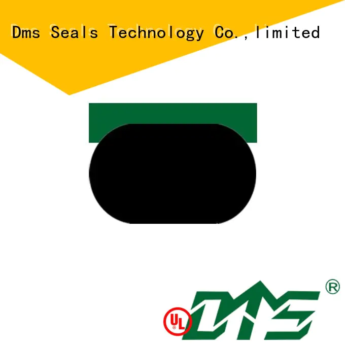 DMS Seal Manufacturer cylinder rod seal Suppliers for pneumatic equipment