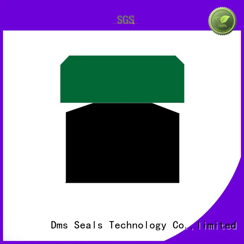 DMS Seal Manufacturer Brand seal ptfe piston seals oring factory