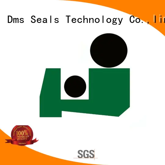 scraper nbrfkm scraper seals hydraulic seal DMS Seal Manufacturer company