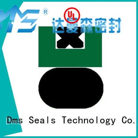 seal ptfe piston seals nbrfkm DMS Seal Manufacturer Brand
