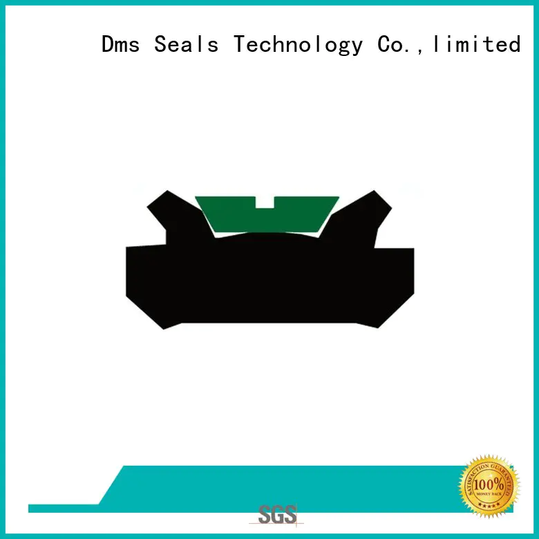 DMS Seal Manufacturer hydraulic cylinder piston seals manufacturer for light and medium hydraulic systems