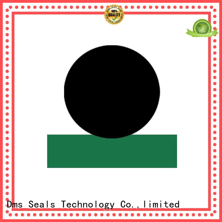 Quality DMS Seal Manufacturer Brand hydraulic rod seals oring rod