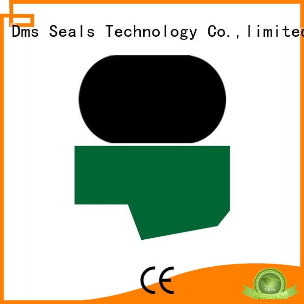 seal nbrfkm rod hydraulic rod seals DMS Seal Manufacturer