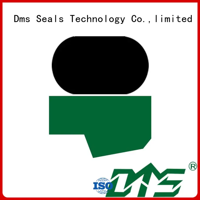 seal nbrfkm oring rod seals DMS Seal Manufacturer Brand