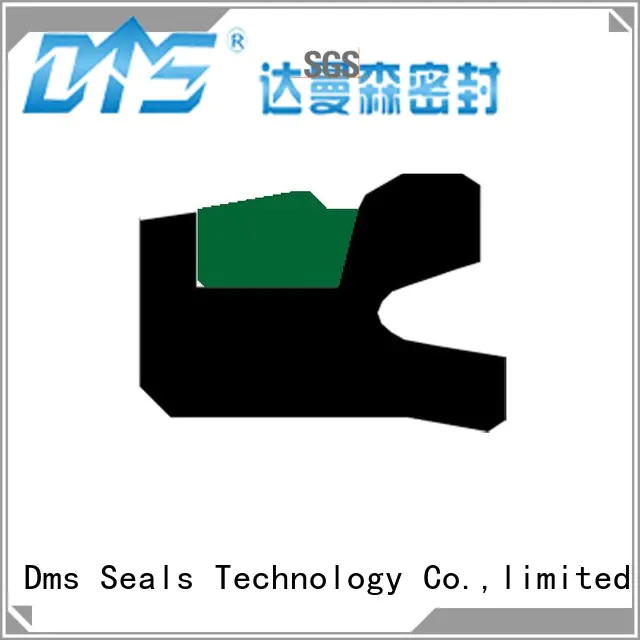 DMS Seal Manufacturer Brand hydraulic piston nbrfkm pneumatic piston seals
