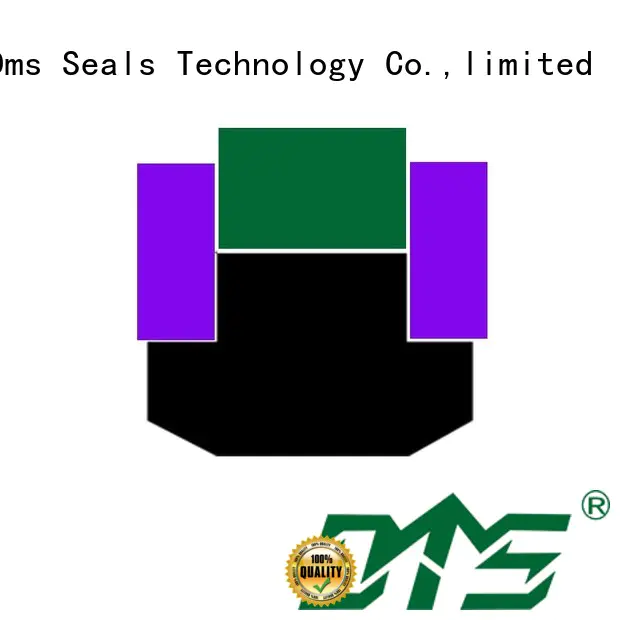 nbrfkm hydraulic OEM piston seals DMS Seal Manufacturer hydraulic
 ptfe