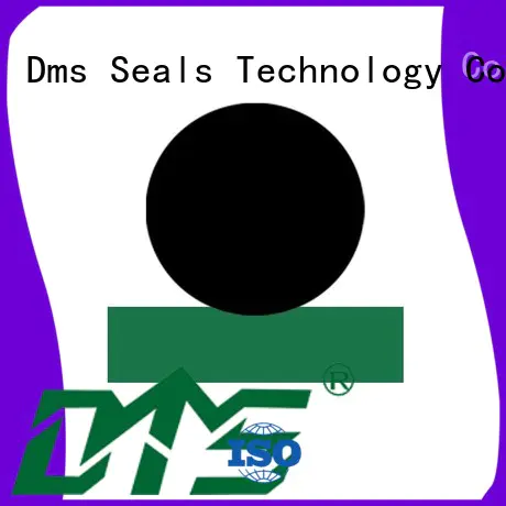 hydraulic rod seals ptfe Bulk Buy oring DMS Seal Manufacturer
