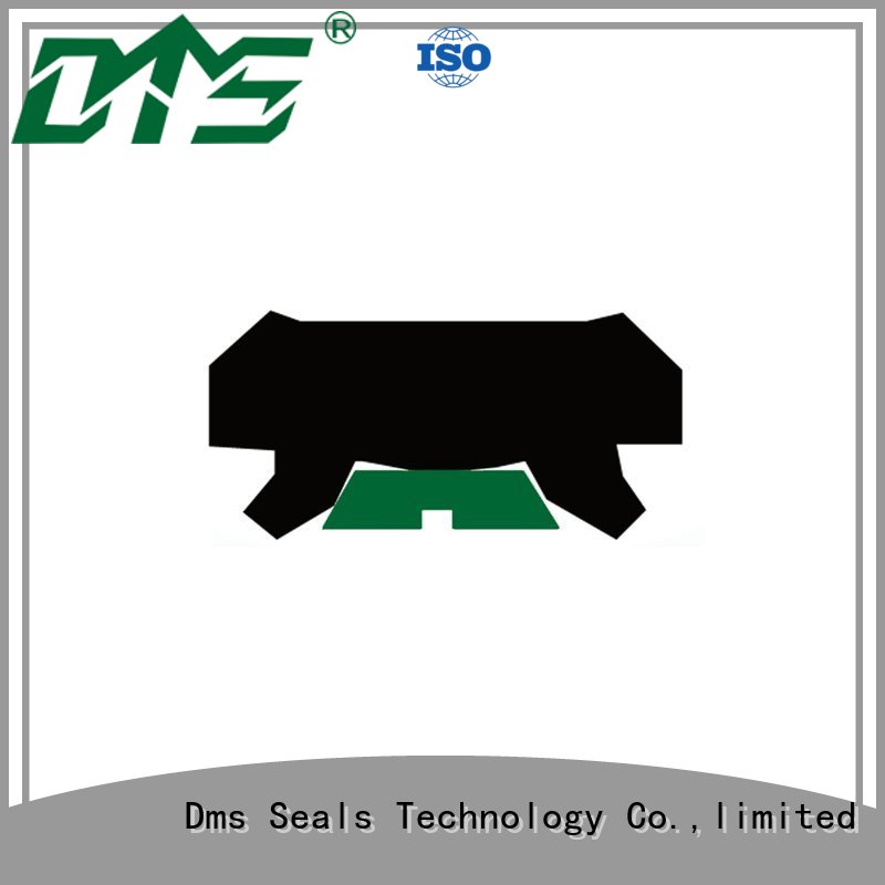 oring ptfe hydraulic rod seals DMS Seal Manufacturer Brand