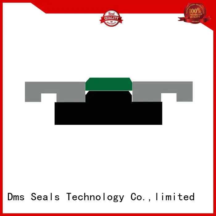 pneumatic piston seals ptfe oring Bulk Buy nbrfkm DMS Seal Manufacturer