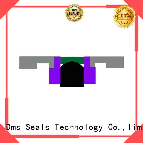 DMS Seal Manufacturer Brand seal piston oring pneumatic piston seals nbrfkm