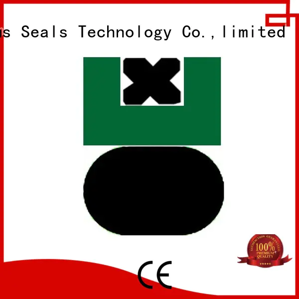 Hot piston seals hydraulic DMS Seal Manufacturer Brand