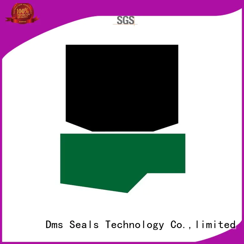 nbrfkm oring hydraulic rod seals DMS Seal Manufacturer Brand