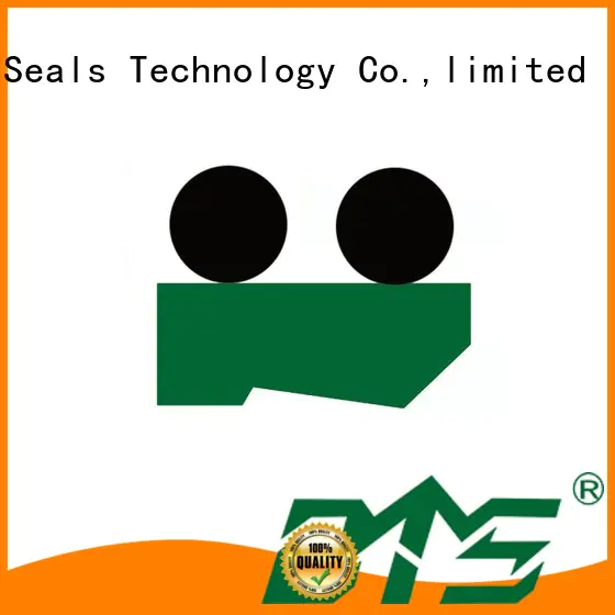 DMS Seal Manufacturer rubber gasket design guide for business for injection molding machines