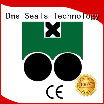 DMS Seal Manufacturer hydraulic piston seals glyd ring for pneumatic equipment