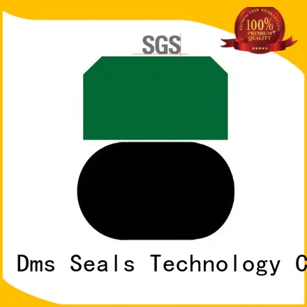 seal pneumatic piston seals oring DMS Seal Manufacturer company