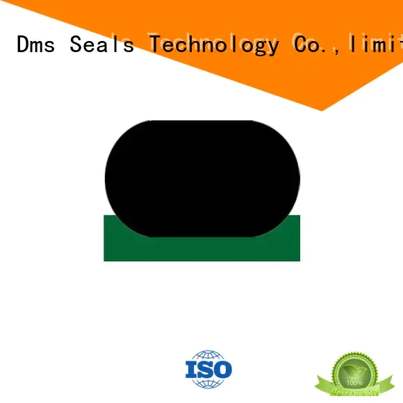 DMS Seal Manufacturer hydraulic cylinder seal design for sale