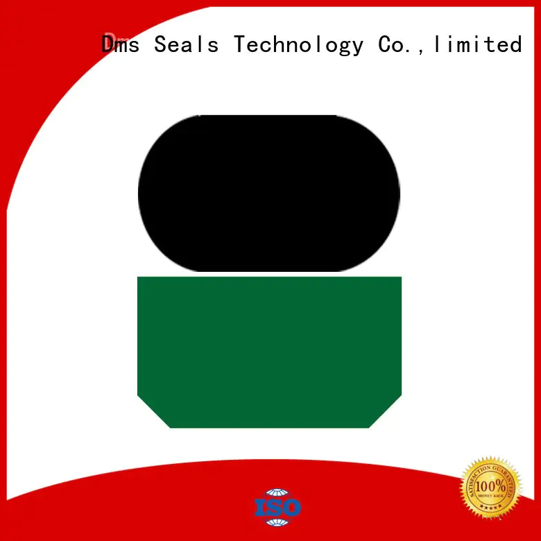 DMS Seal Manufacturer oring rod hydraulic hydraulic rod seals nbrfkm